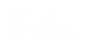 Friboi